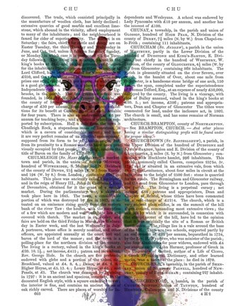 Framed Rainbow Splash Giraffe 1 Print