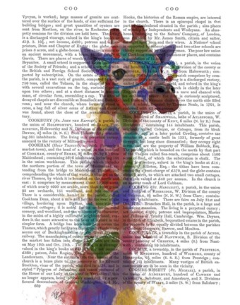 Framed Rainbow Splash Giraffe 2 Print