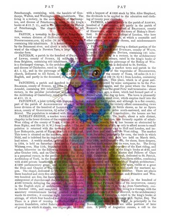 Framed Rainbow Splash Rabbit 2, Full Print