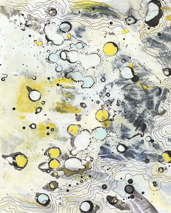 Framed Topo II Print