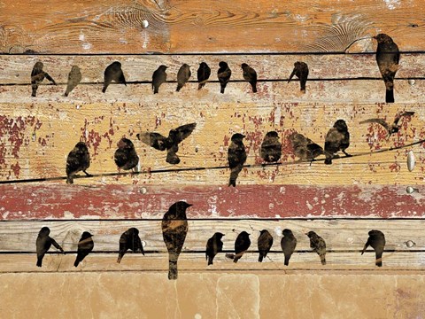 Framed Birds on Wood V Print