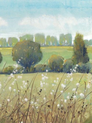 Framed Summer Breeze II Print