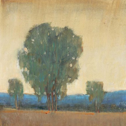 Framed Clearing Storm II Print