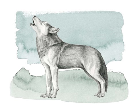 Framed Animale I Print