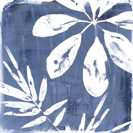 Framed Tropical Indigo Impressions II Print