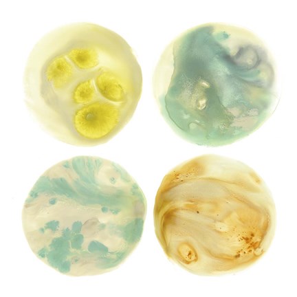 Framed Planetary I Print