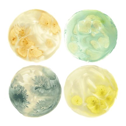 Framed Planetary V Print