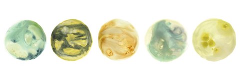 Framed Planetary VII Print