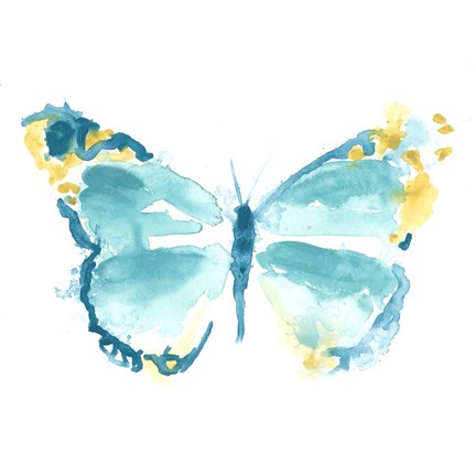 Framed Butterfly Traces IV Print