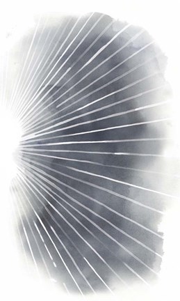 Framed Rays II Print