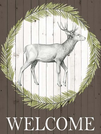 Framed Woodland Walk I Print