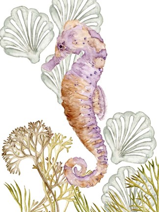 Framed Undersea Creatures II Print