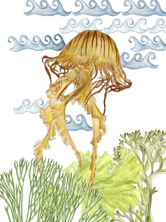 Framed Undersea Creatures IV Print