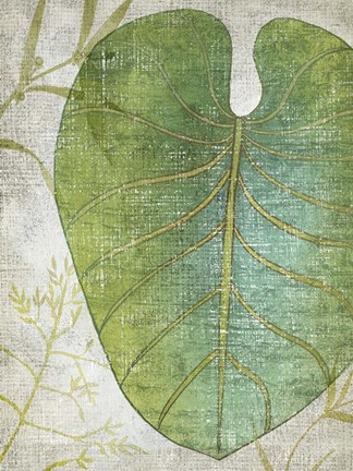 Framed Frond IV Print