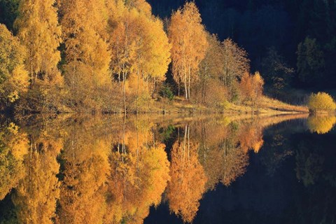 Framed Autumn Reflection Print