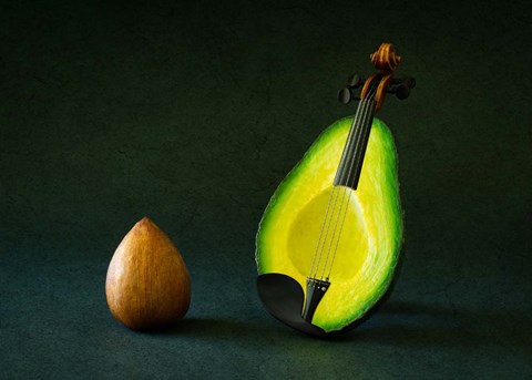 Framed Aviolin Print