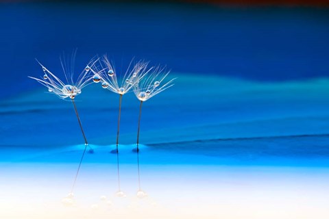 Framed Blue Landscape Print