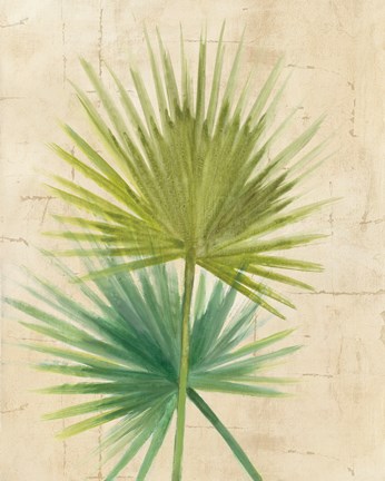 Framed Fan Palm Print