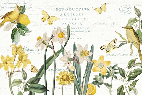 Framed Citron Curiosities I Print