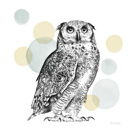 Framed Sketchbook Lodge Owl Neutral Print