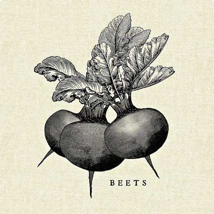Framed Linen Vegetable BW Sketch Beets Print