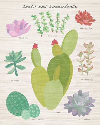 Framed Succulent and Cacti Chart III on Wood Print