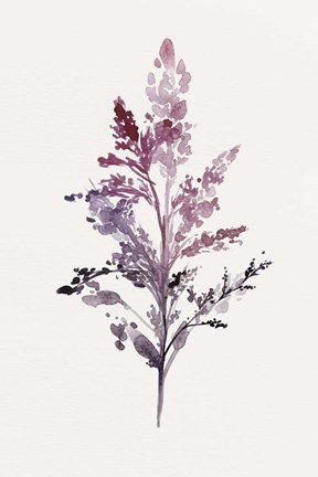 Framed Botanical II Print