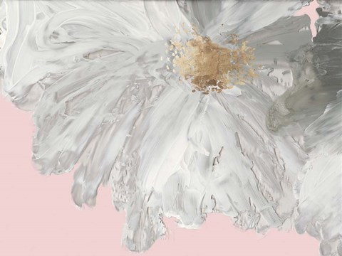 Framed White Peony Print