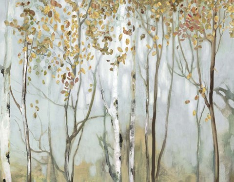 Framed Birch in the Fog II Print