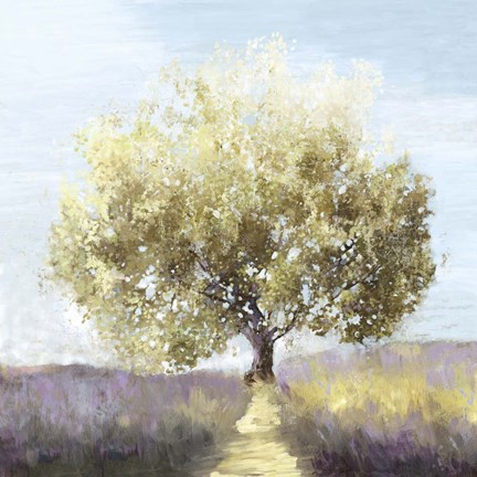 Framed Province Print