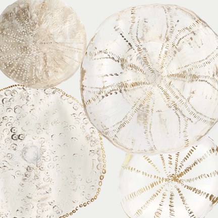 Framed Sea Patterns II Print