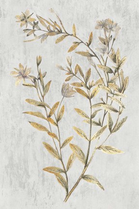 Framed Botanical Gold on White II Print