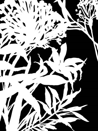 Framed Monochrome Foliage III Print
