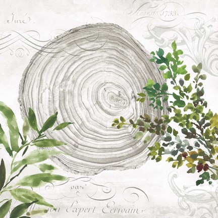 Framed Eco III Print