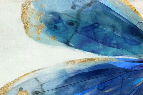 Framed Wing II Print