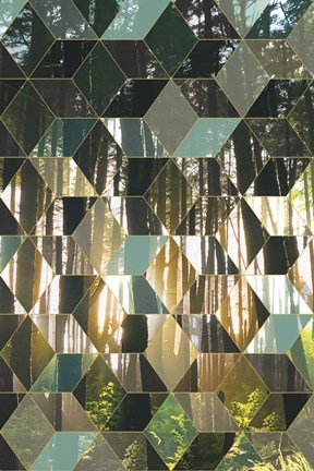 Framed Kaleidescope Visions IV Print