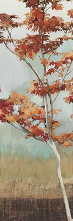 Framed Maple Tree Print