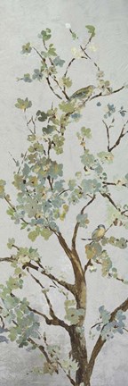 Framed Bloom II Print