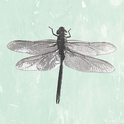 Framed Dragonfly II Print