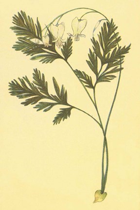 Framed Squirrel Corn Print