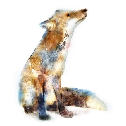 Framed Fox Print