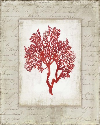 Framed Red Coral II Border Print