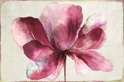 Framed Lilya Red Print