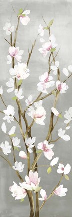 Framed Budding Magnolia II Print