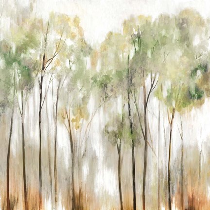 Framed In the Fog I Print