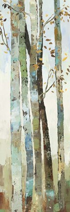 Framed Towering Trees I Print