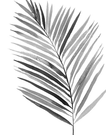 Framed BW Palm IV Print