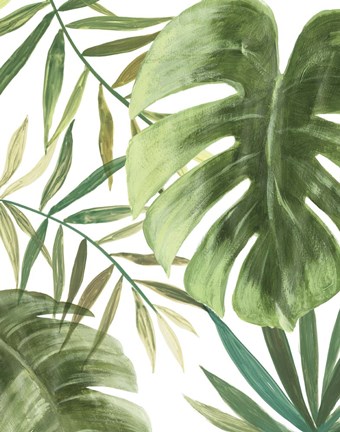 Framed Tropical Mix I Print