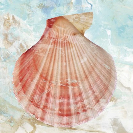 Framed Pink Shell Print