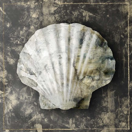 Framed Marble Shell Series IV Print